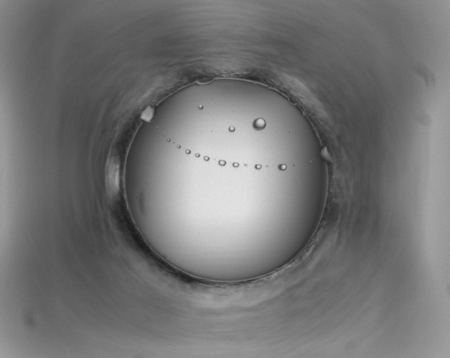X0000115660021200911121223