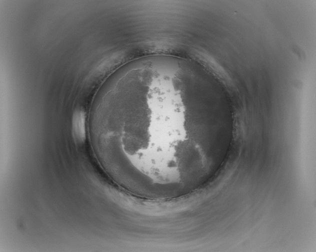 X0000115660022200911121223