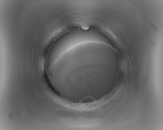 X0000115660023200911121223