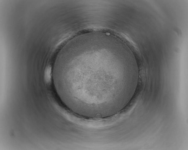 X0000115660024200911121223