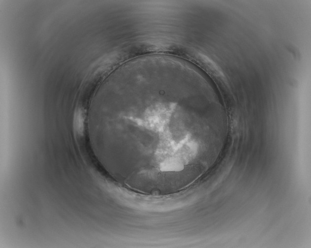 X0000115660026200911121223