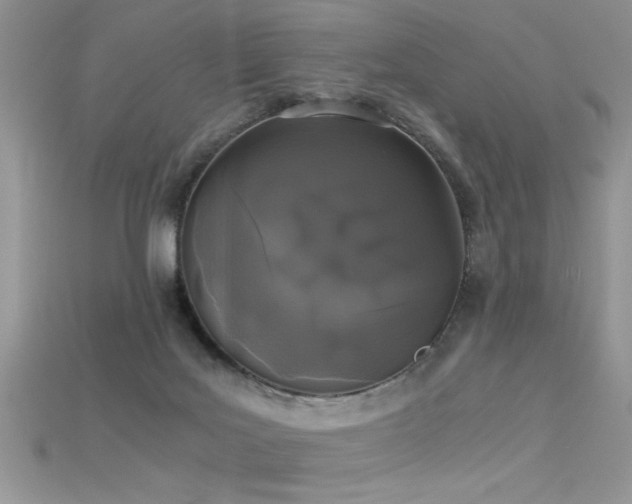 X0000115660027200911121223