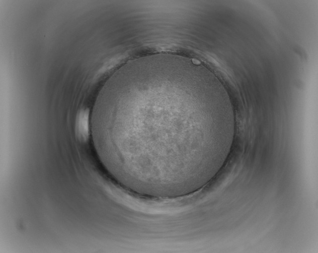 X0000115660028200911121223