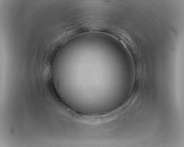 X0000115660029200911121223