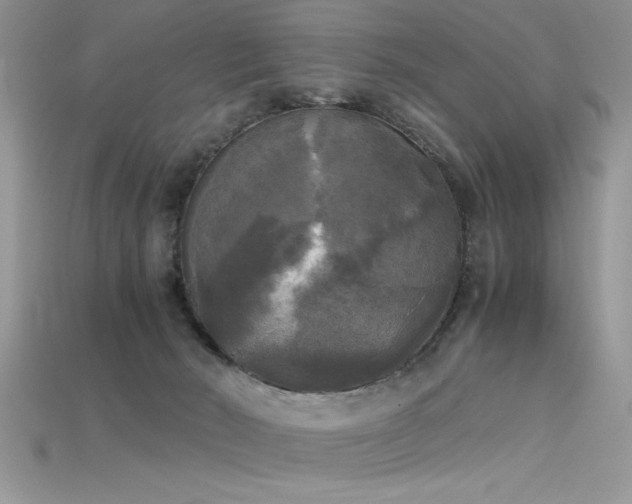 X0000115660030200911121223