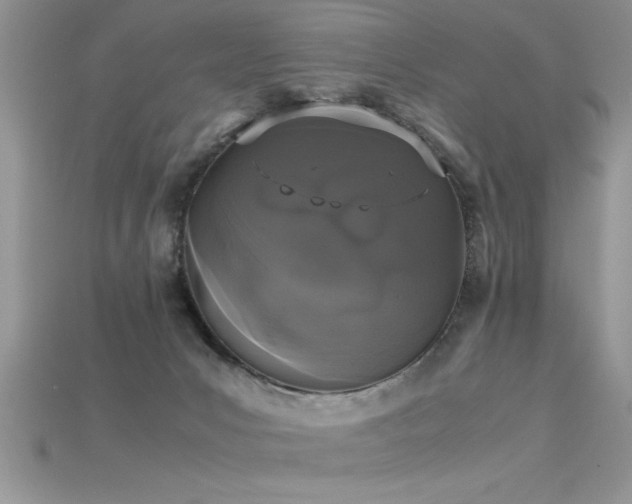 X0000115660031200911121223