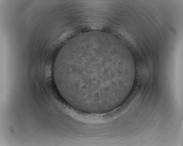 X0000115660032200911121223