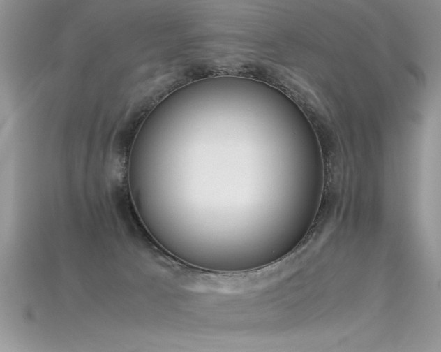 X0000115660033200911121223