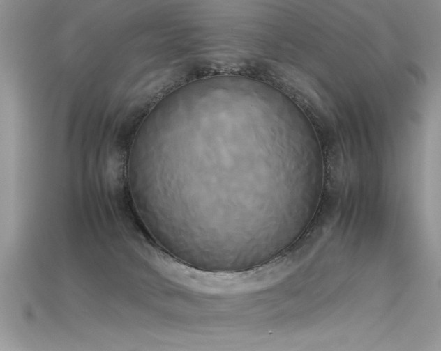 X0000115660034200911121223