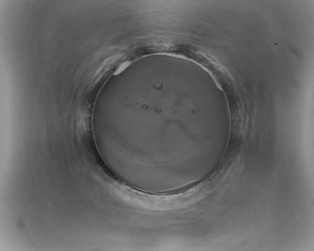 X0000115660035200911121223