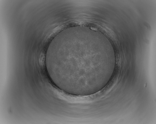 X0000115660036200911121223