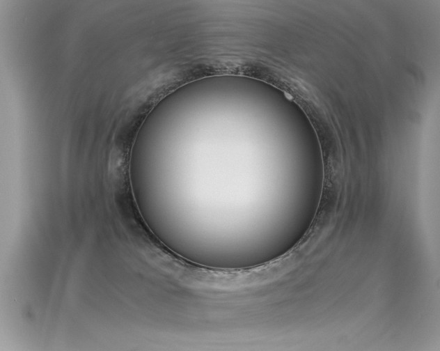 X0000115660037200911121223