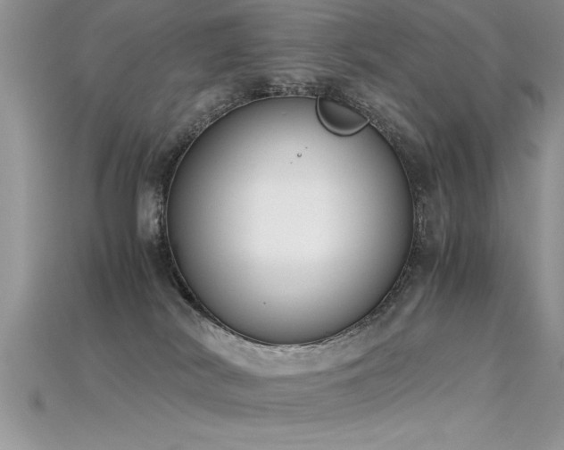 X0000115660038200911121223