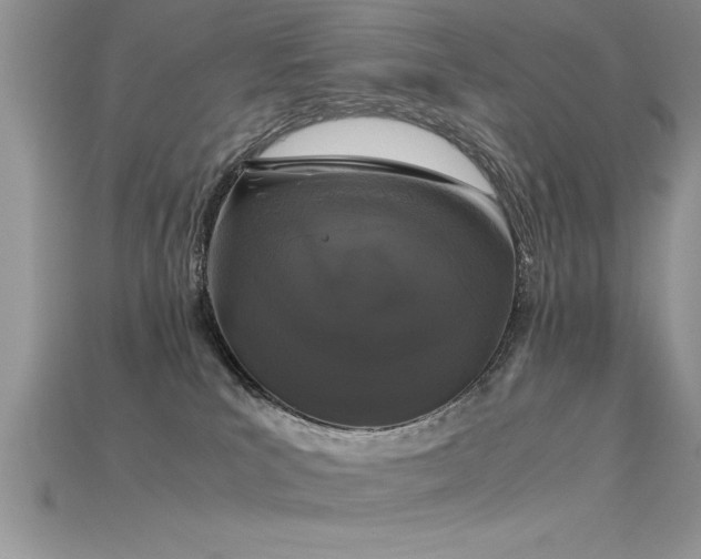 X0000115660039200911121223