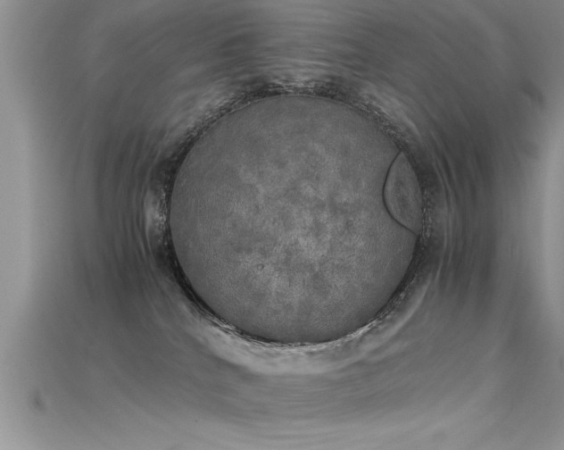 X0000115660040200911121223