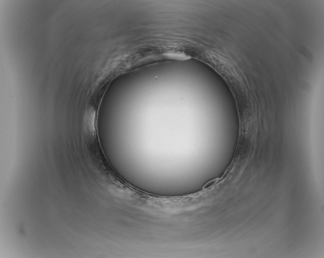 X0000115660041200911121223