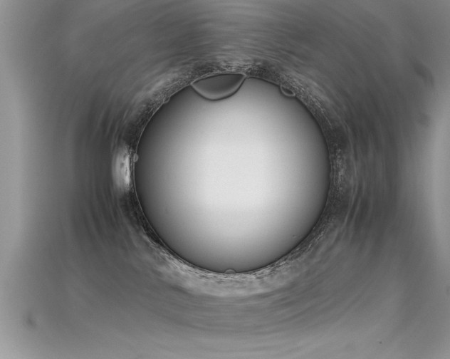 X0000115660042200911121223
