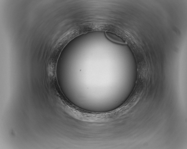 X0000115660044200911121223