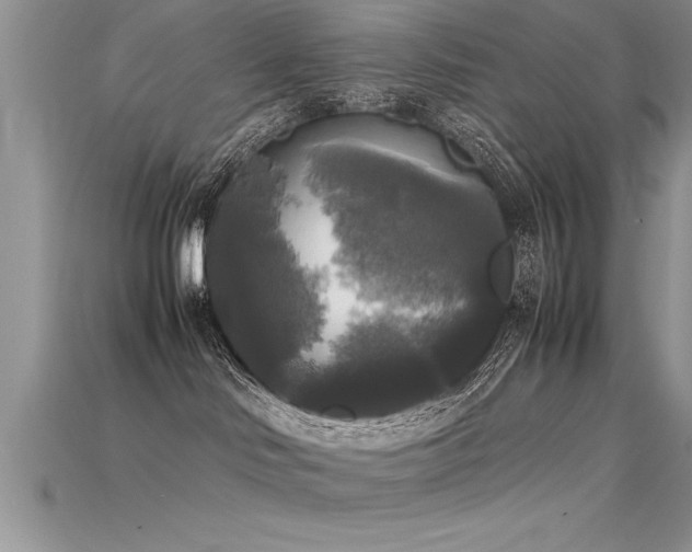 X0000115660046200911121223