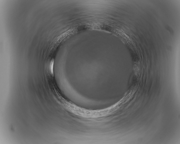 X0000115660047200911121223