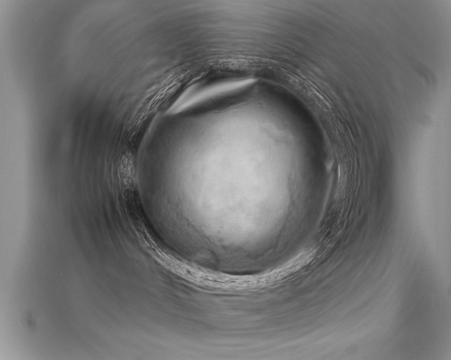 X0000115660048200911121223