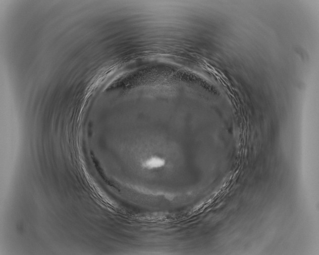 X0000115660049200911121222