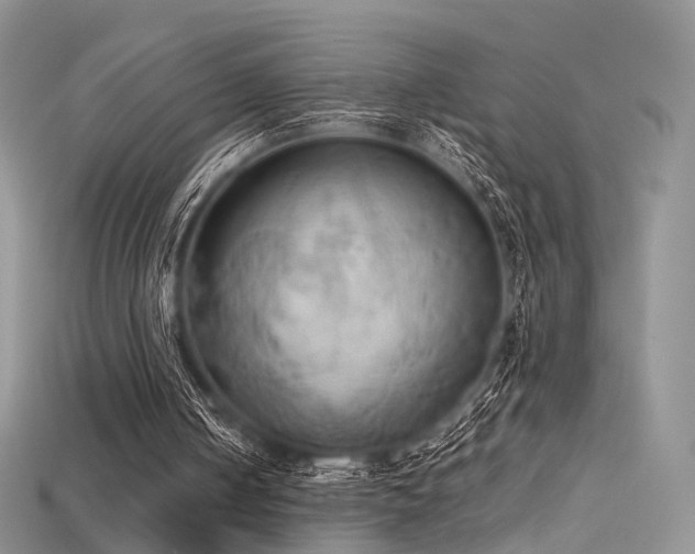 X0000115660050200911121222