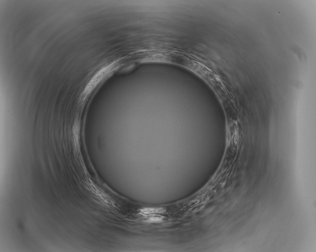 X0000115660051200911121222