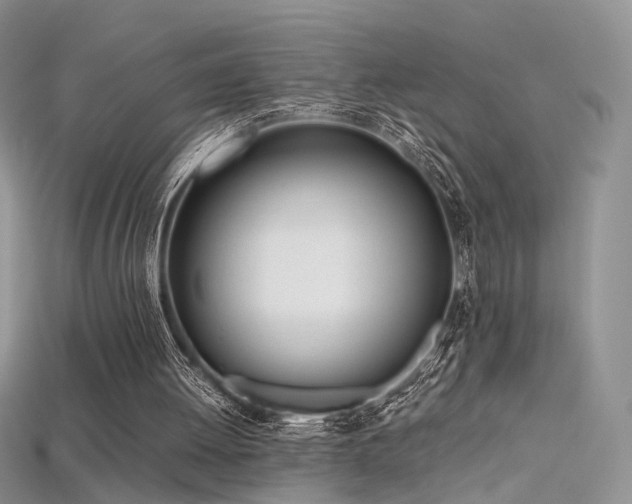 X0000115660052200911121222