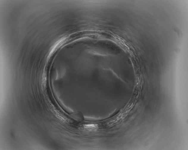 X0000115660053200911121222