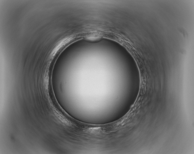 X0000115660054200911121222