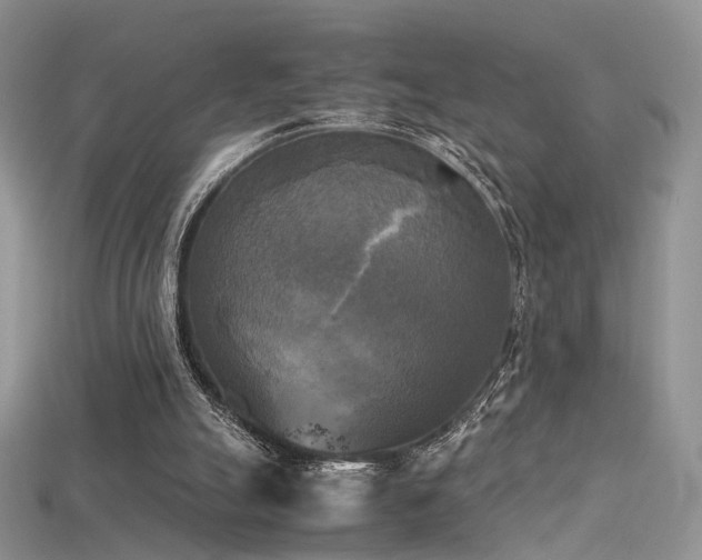 X0000115660055200911121222