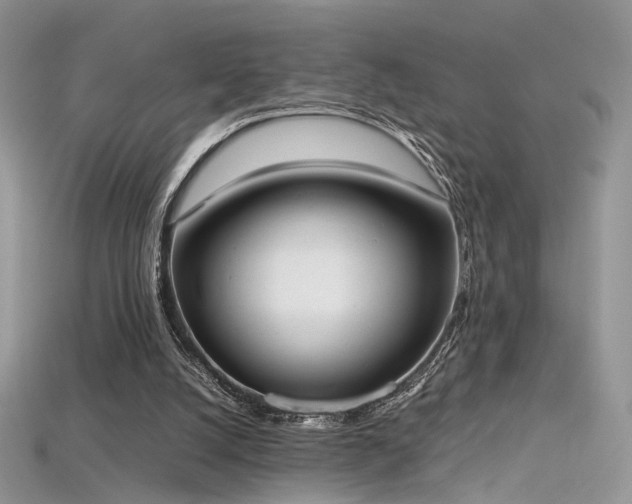 X0000115660056200911121222