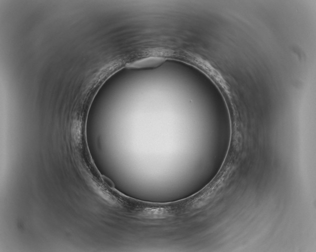 X0000115660057200911121222