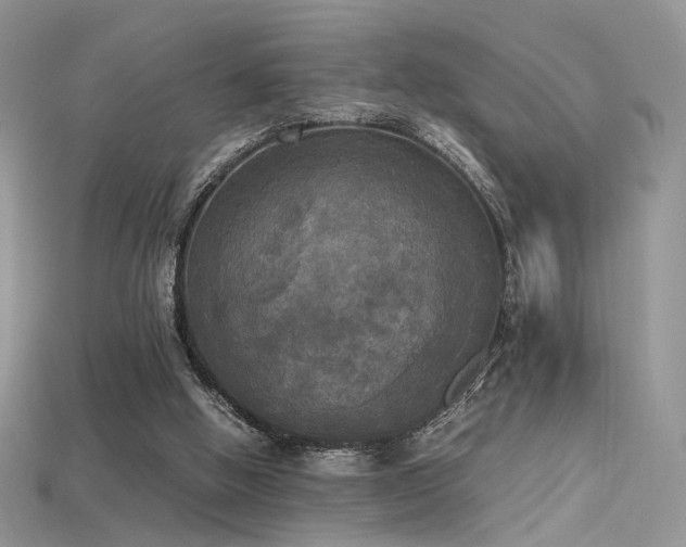 X0000115660058200911121222