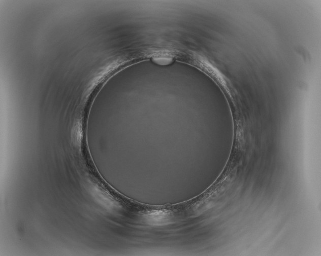 X0000115660059200911121222
