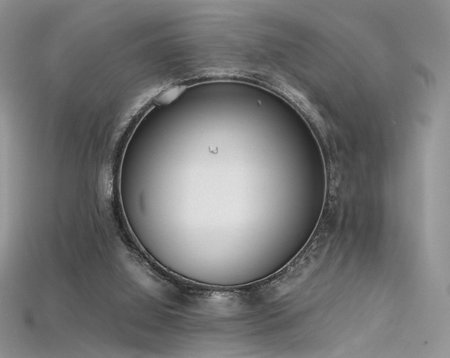 X0000115660060200911121222