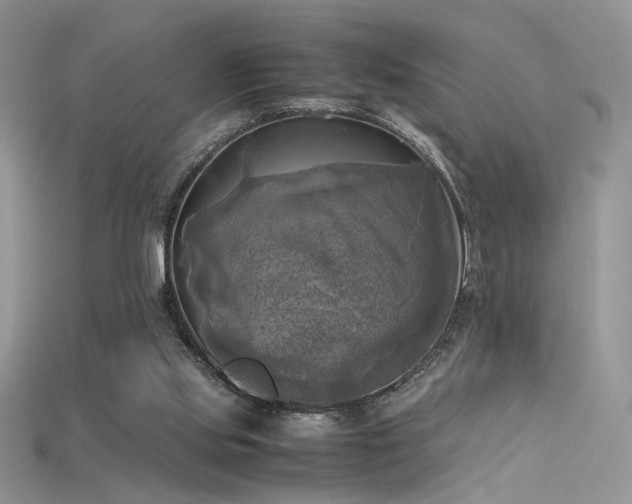 X0000115660061200911121222
