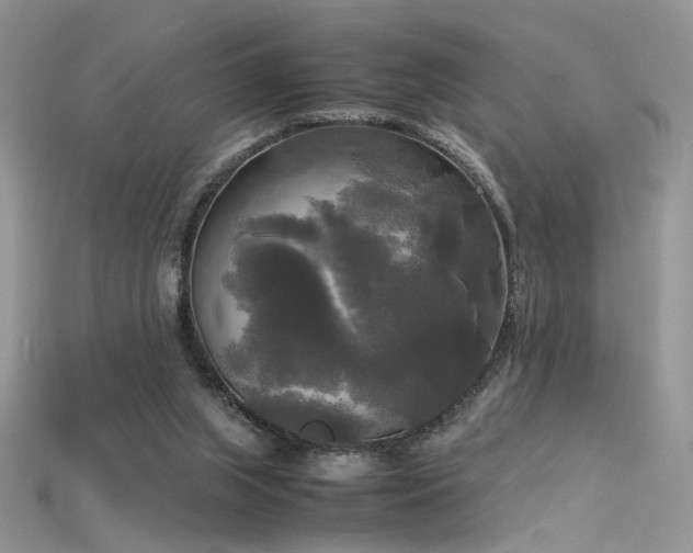 X0000115660063200911121222