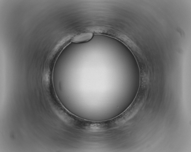 X0000115660064200911121222