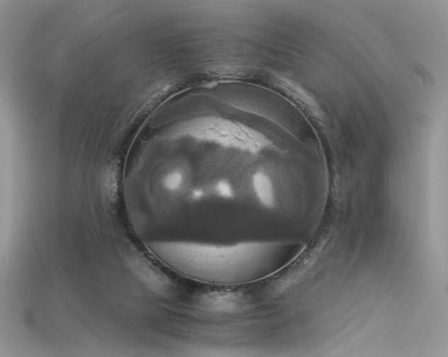 X0000115660065200911121222