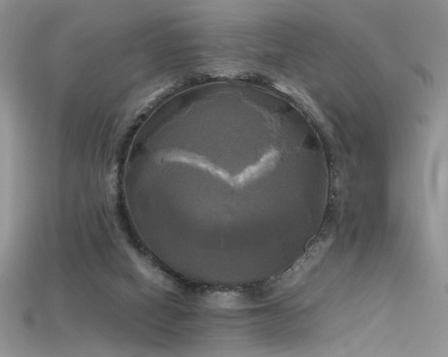 X0000115660066200911121222