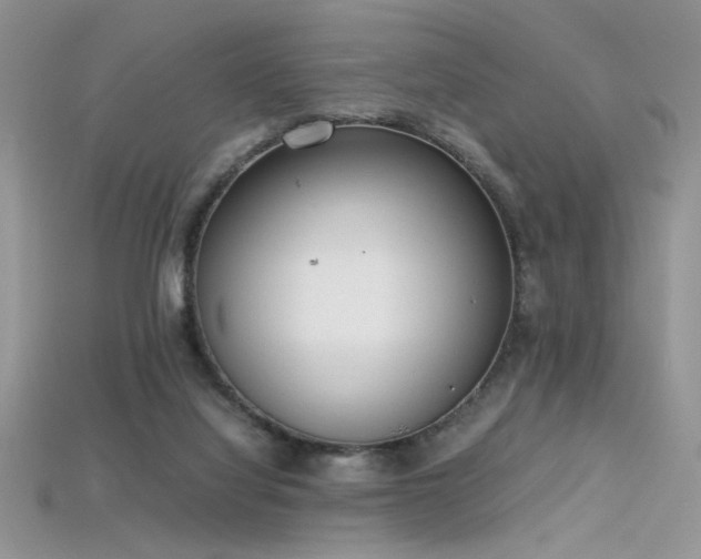 X0000115660068200911121222