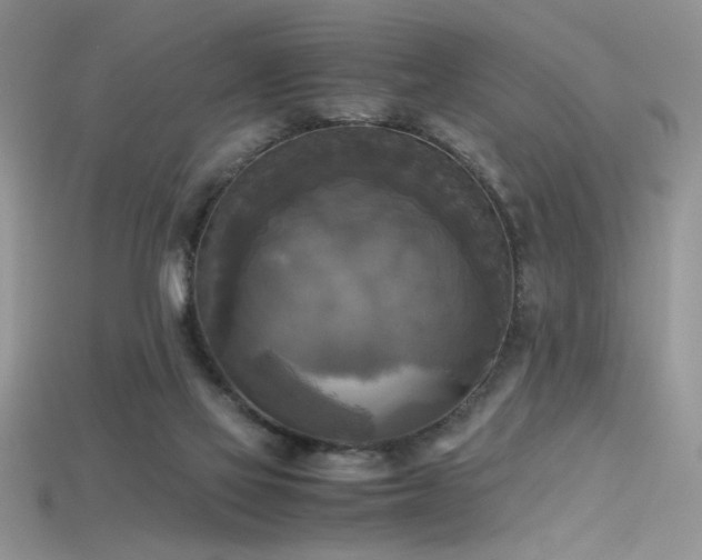 X0000115660069200911121222