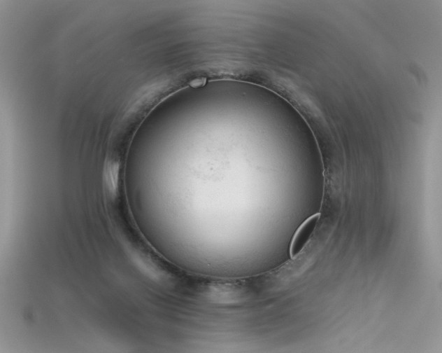 X0000115660070200911121222