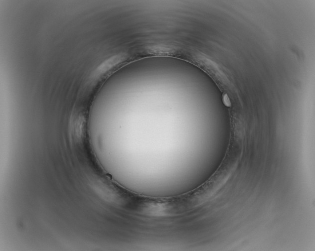X0000115660071200911121222
