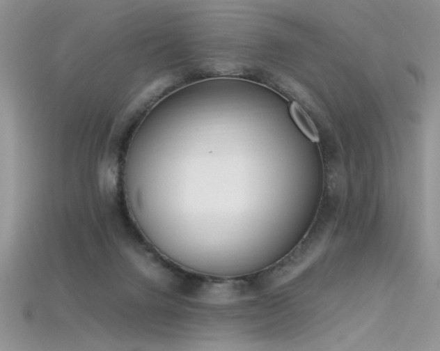 X0000115660072200911121222