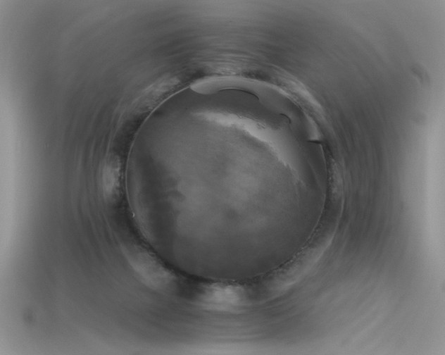 X0000115660073200911121222
