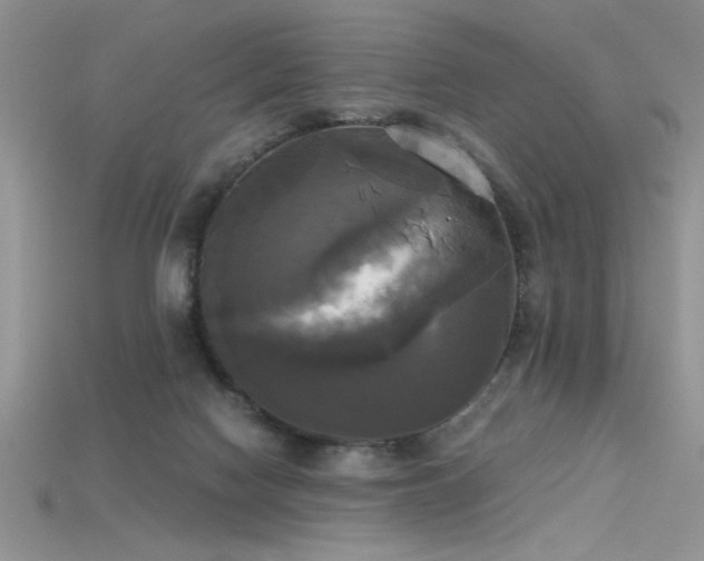 X0000115660074200911121222