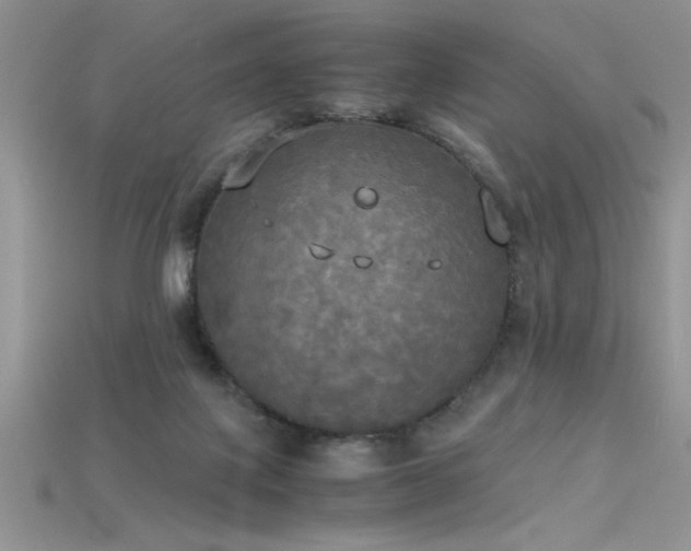 X0000115660075200911121222